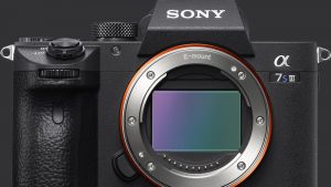 Sony A7 S III for Cameras in 2020 Blog